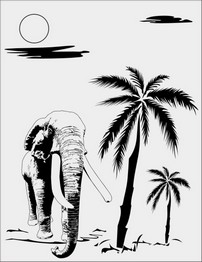 81(b)